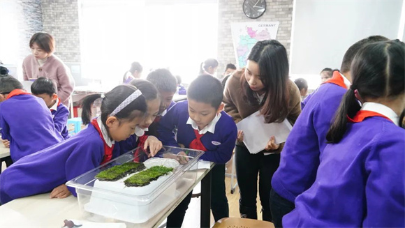 [浦东]福山正达外国语小学:动手动脑还动口 让你动心去探究